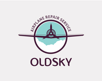 Oldsky飞机维修服务
